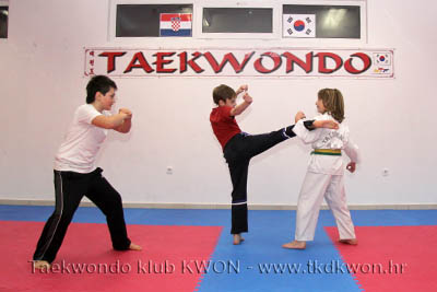 taekwondo kwon training